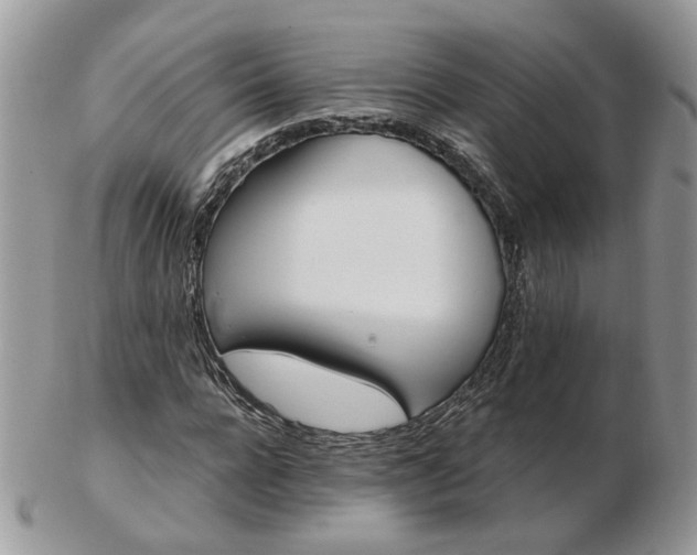 X0000102830920200808251130