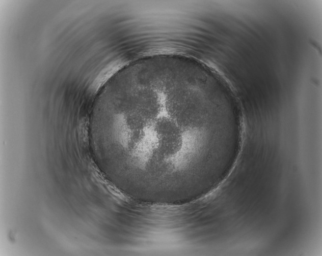 X0000102830921200808251130