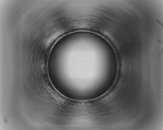 X0000102830922200808251130