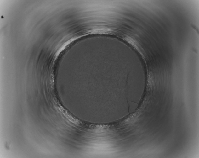 X0000102830923200808251130