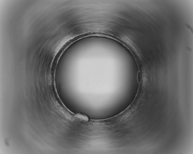 X0000102830924200808251130