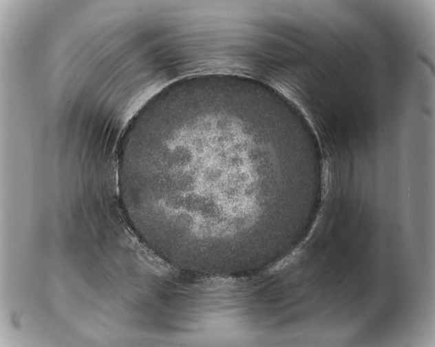 X0000102830925200808251130