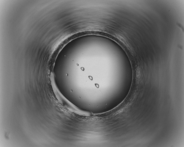 X0000102830926200808251130