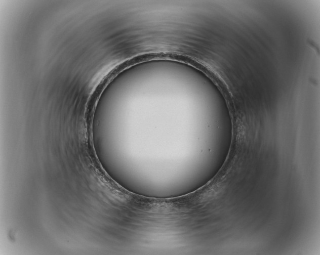 X0000102830927200808251130