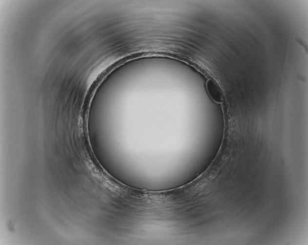 X0000102830928200808251130