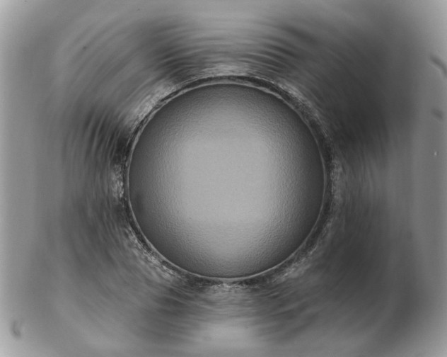 X0000102830929200808251130