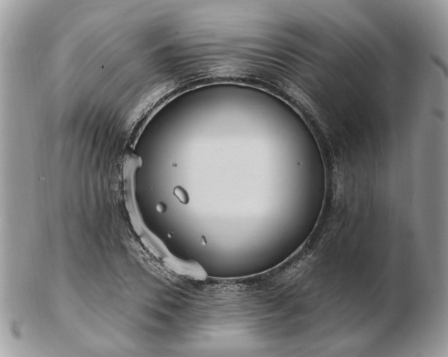 X0000102830930200808251130