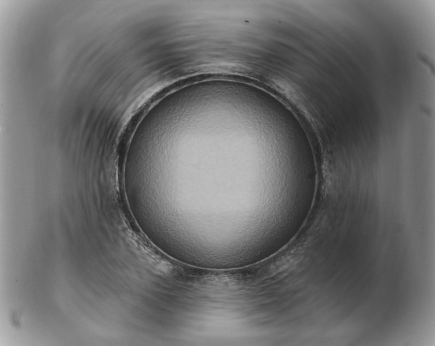 X0000102830931200808251130