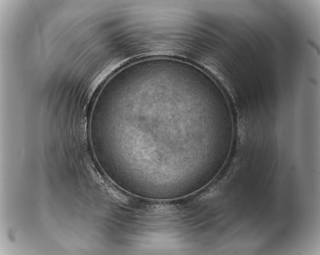 X0000102830933200808251130