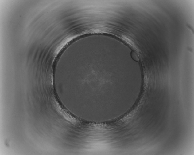 X0000102830934200808251130