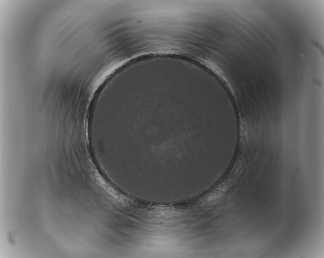 X0000102830935200808251130