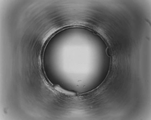 X0000102830936200808251130