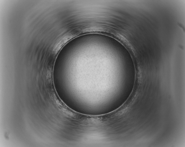 X0000102830937200808251130