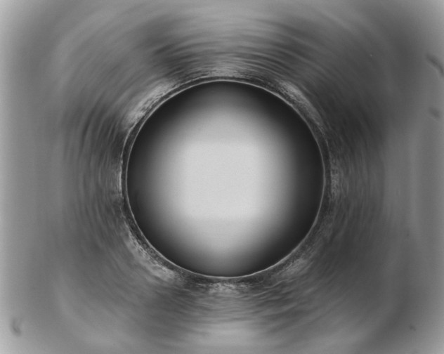 X0000102830938200808251130