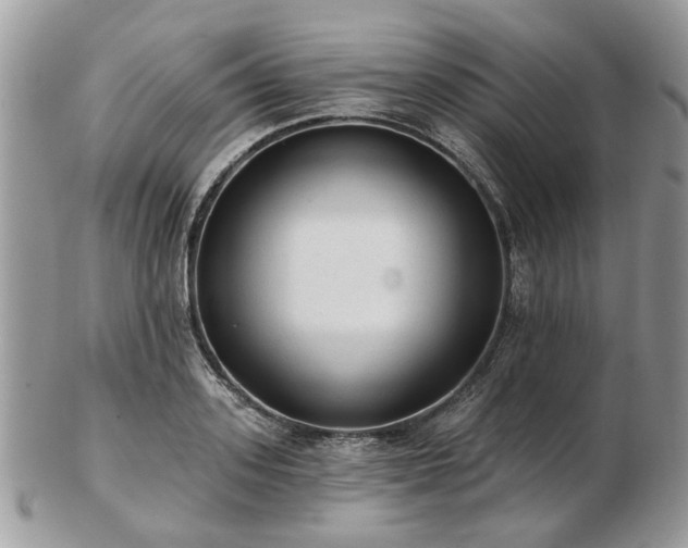 X0000102830939200808251130