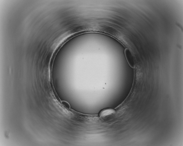 X0000102830940200808251130