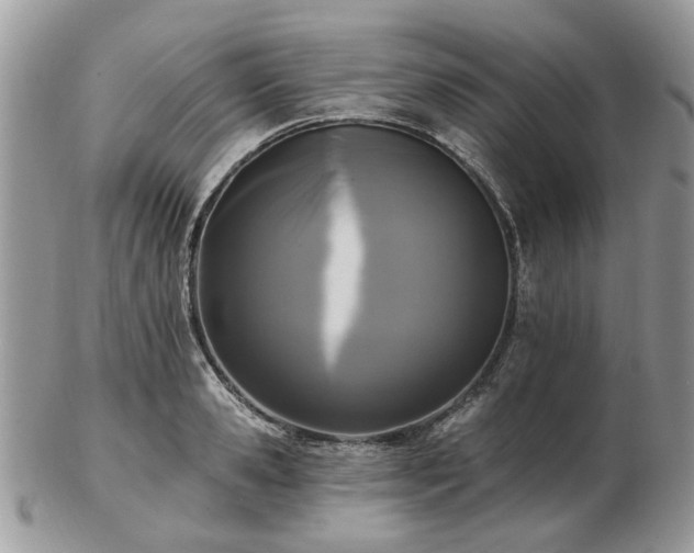 X0000102830941200808251130