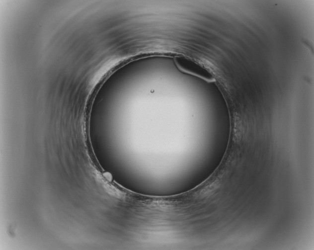 X0000102830942200808251130