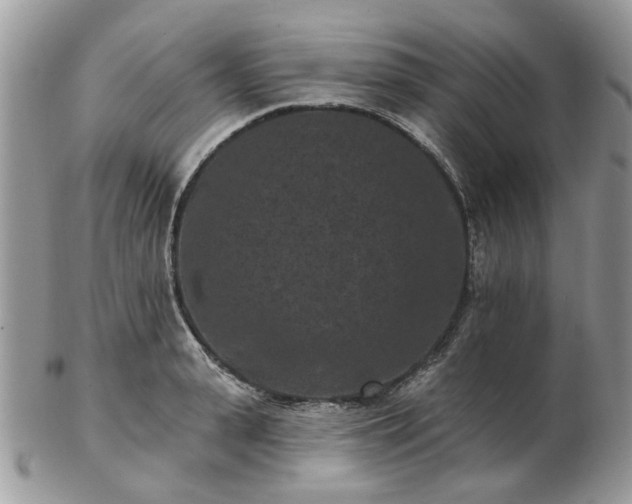 X0000102830943200808251130