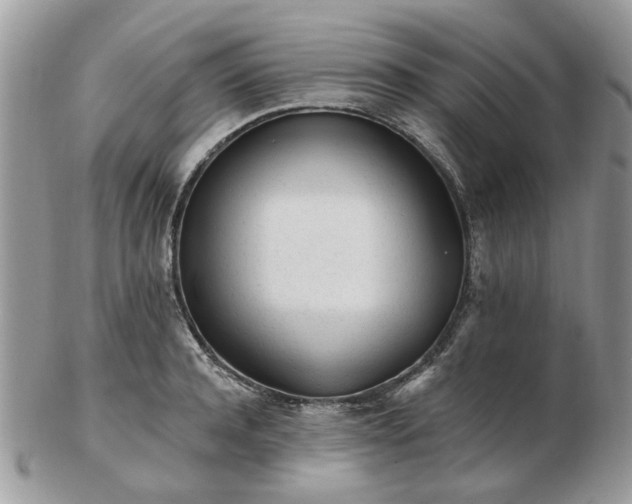 X0000102830944200808251130