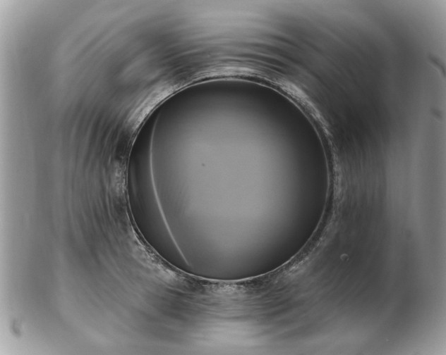 X0000102830945200808251130