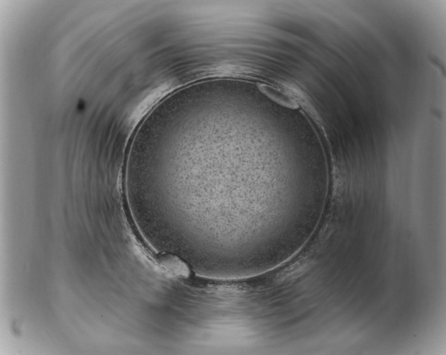 X0000102830946200808251130