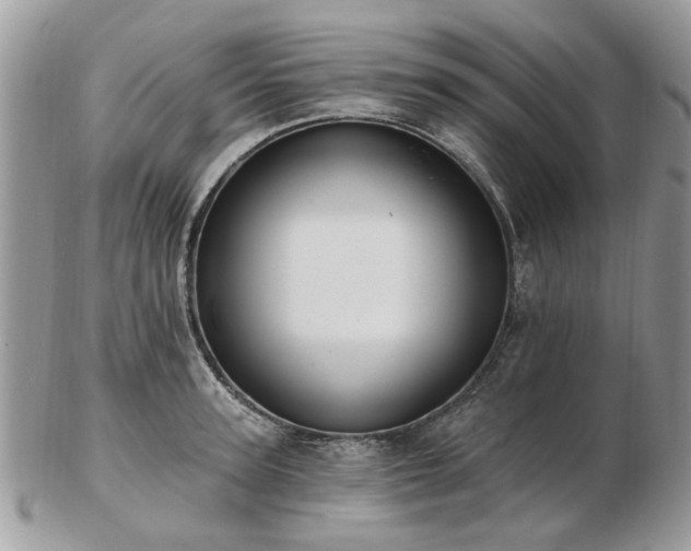 X0000102830947200808251130