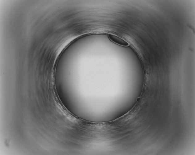 X0000102830948200808251130