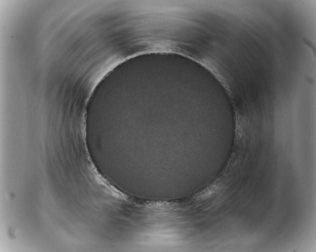 X0000102830950200808251131