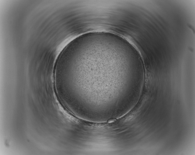 X0000102830951200808251131