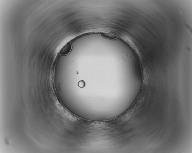 X0000102830952200808251131