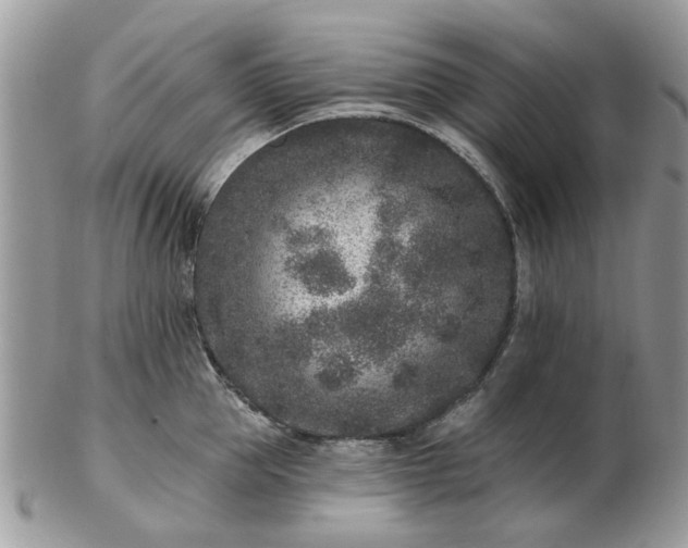 X0000102830953200808251131