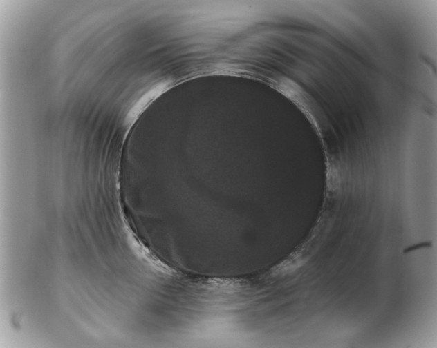 X0000102830954200808251131