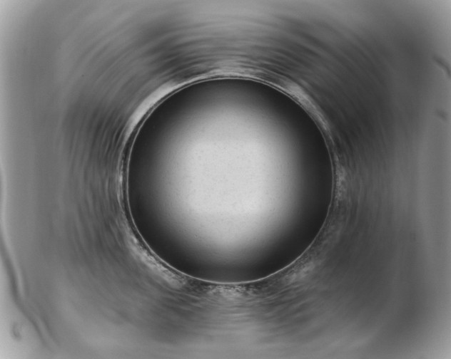 X0000102830955200808251131