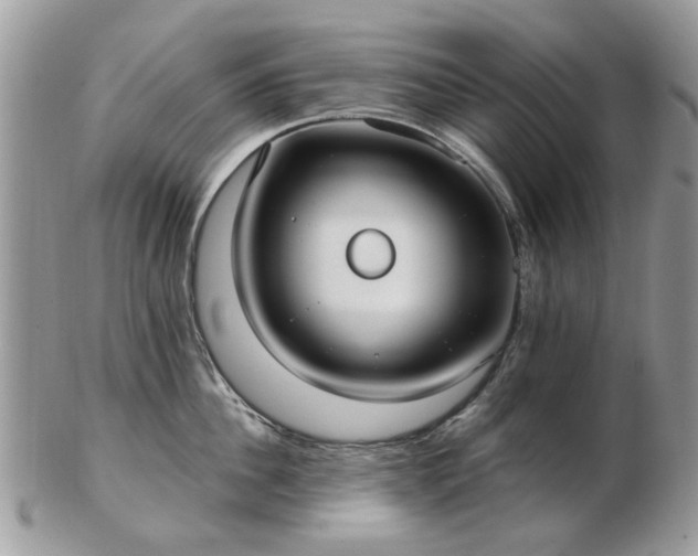 X0000102830956200808251131