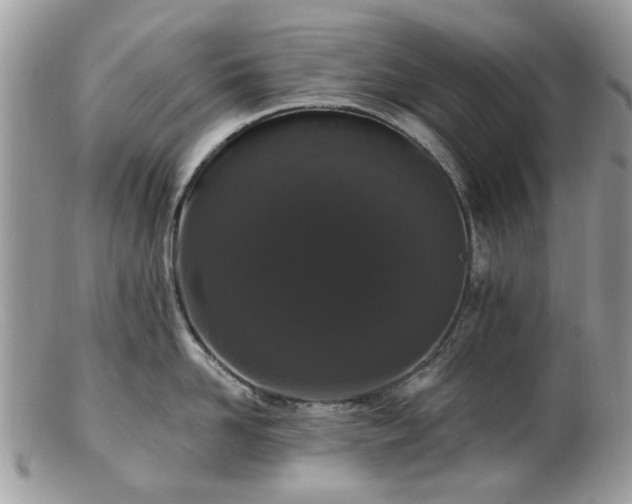 X0000102830958200808251131