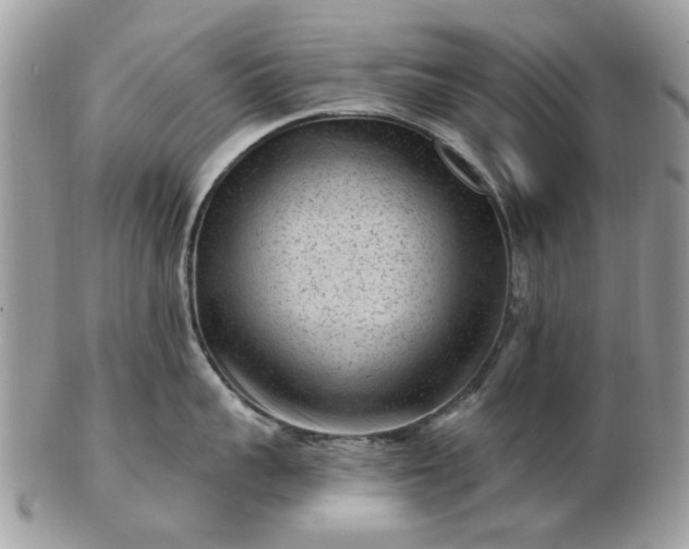 X0000102830959200808251131