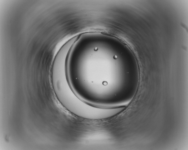 X0000102830960200808251131