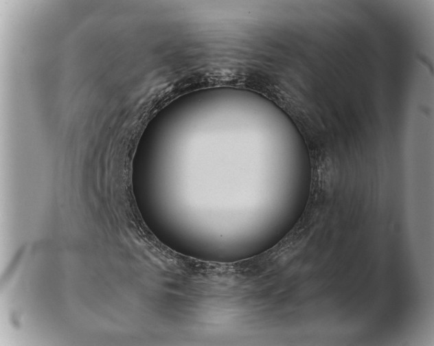 X0000102830961200808251130