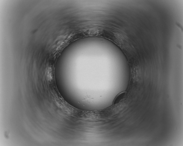 X0000102830962200808251130