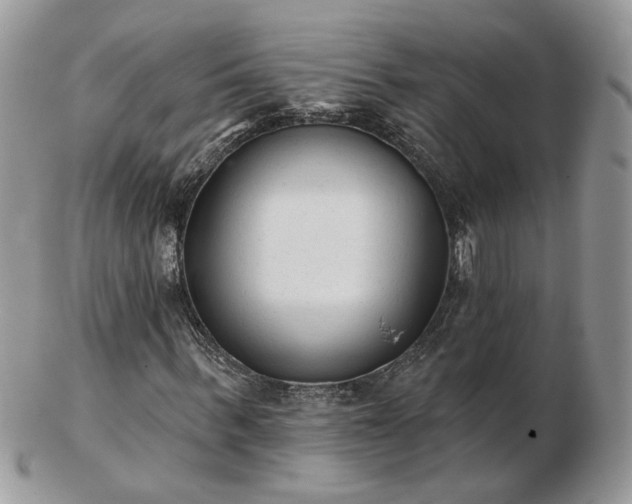 X0000102830963200808251130