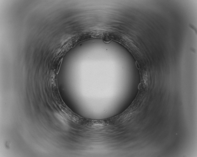 X0000102830964200808251130