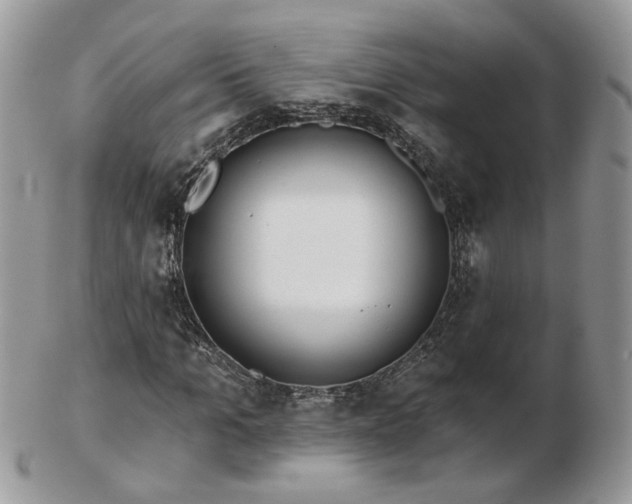 X0000102830965200808251130