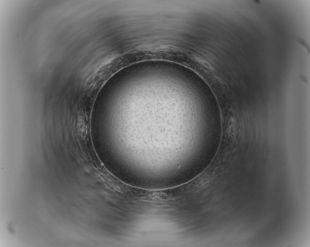 X0000102830966200808251130