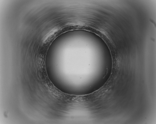 X0000102830967200808251130