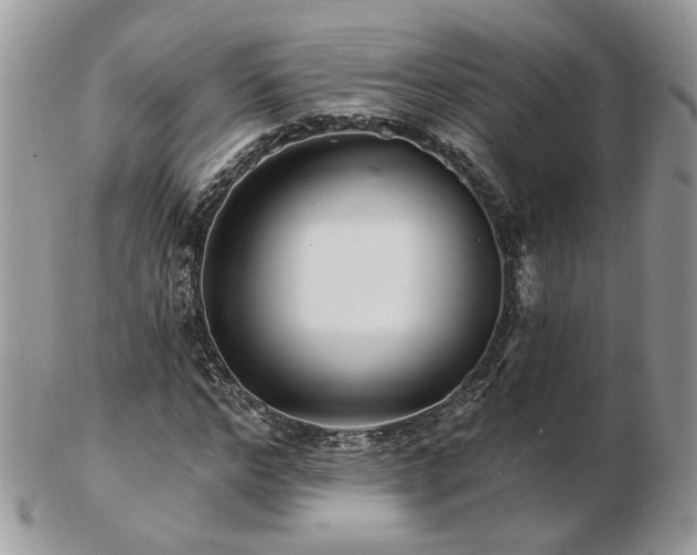 X0000102830968200808251130