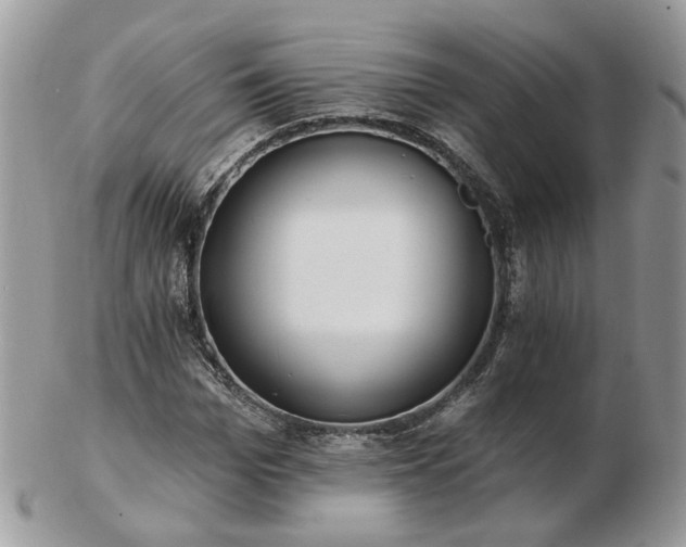 X0000102830969200808251130