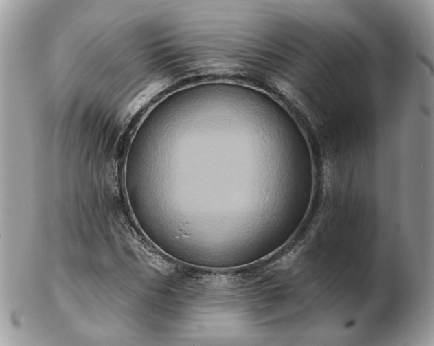 X0000102830970200808251130