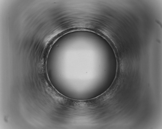 X0000102830971200808251130