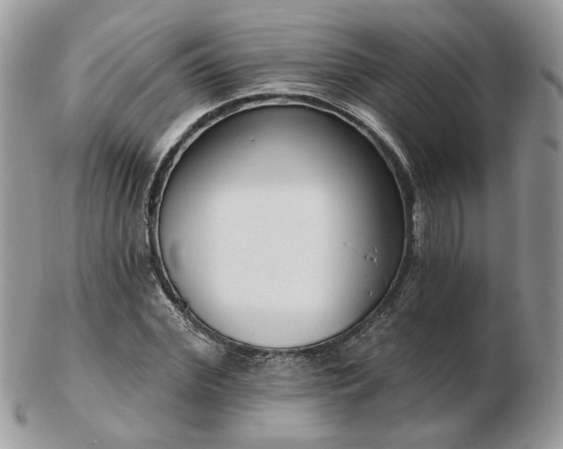 X0000102830972200808251130